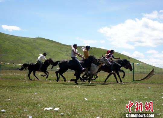 Traditional Horse Race held in Qinghai