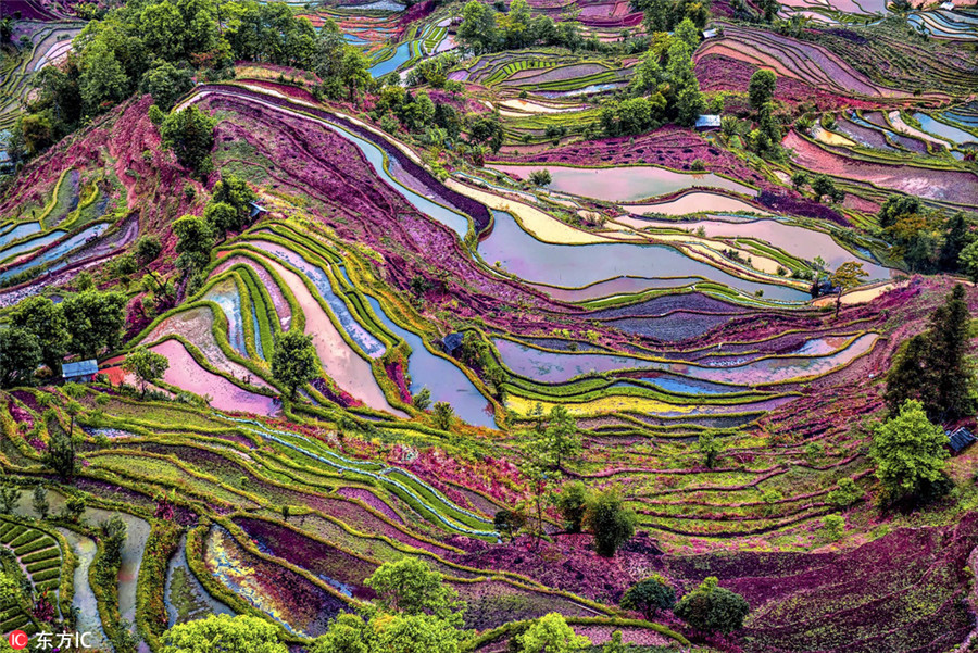 Colorful Yunnan through the lens of Italian photographer