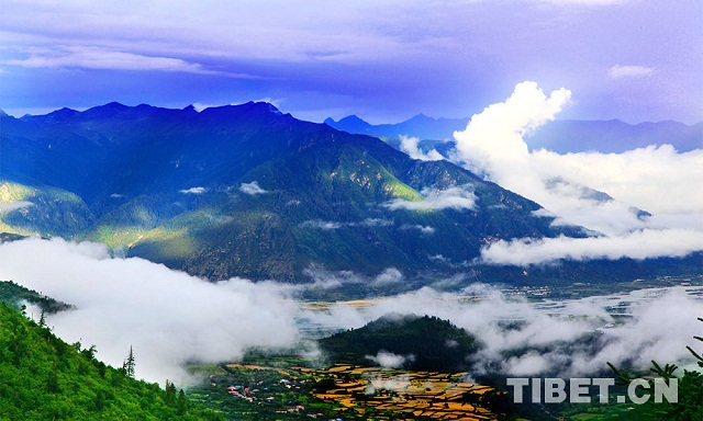 Photo: Magical Tibetan medicine