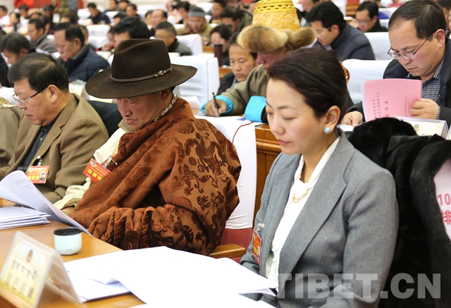 政协第十届西藏自治区委员会第五次会议开幕