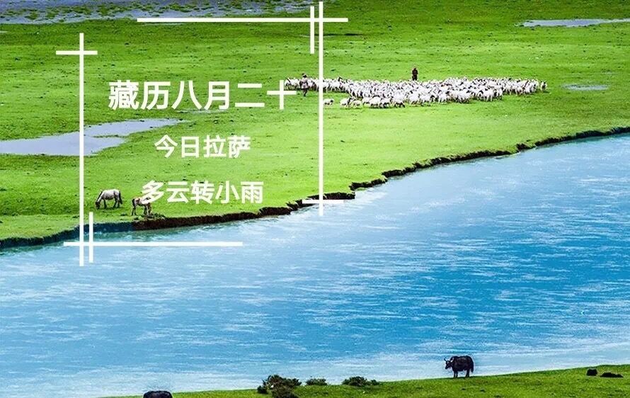 西藏十八大以來處分2357人 | 藏聞早餐10.10