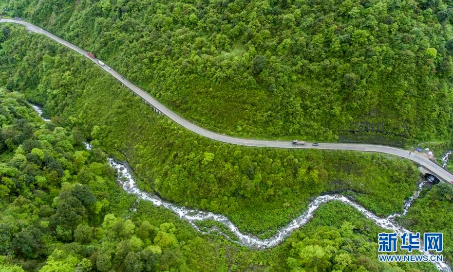 Tibet makes breakthrough in high altitude artificial afforestation