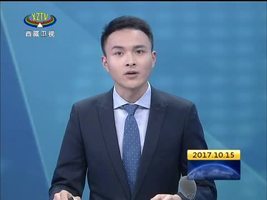 西藏召开欢送出席党的十九大代表座谈会