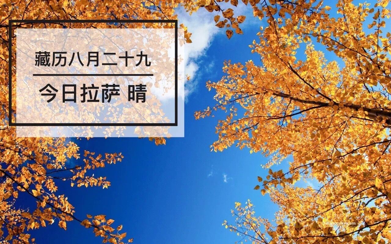 西藏十九大代表認真參會建言 | 藏聞早餐10.18