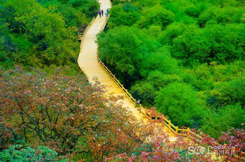 Huanglong scenic spot in SW China enters best viewing period