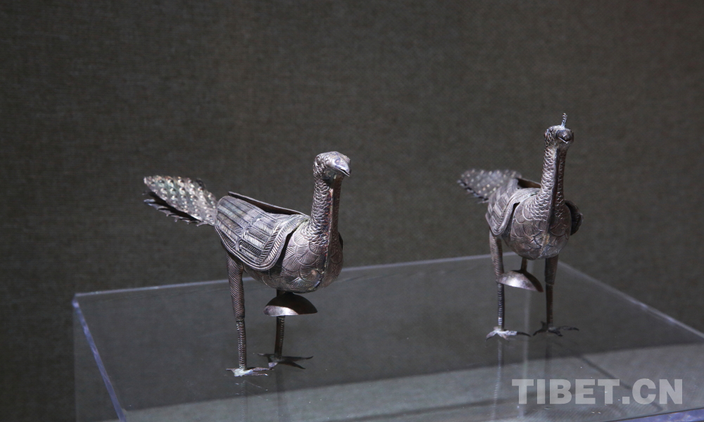 最深情的颂歌：历史见证各族人民心向党