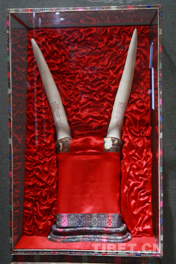 最深情的颂歌：历史见证各族人民心向党