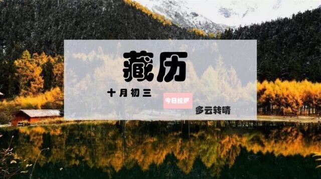 震后居民：微笑面對 喜慶新年 | 藏聞早餐11.21