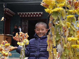 西藏林芝震后 民众如常庆新年