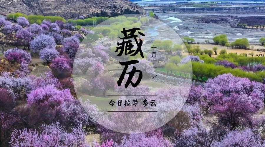 西藏推動“廁所革命” ｜藏聞早餐11.29