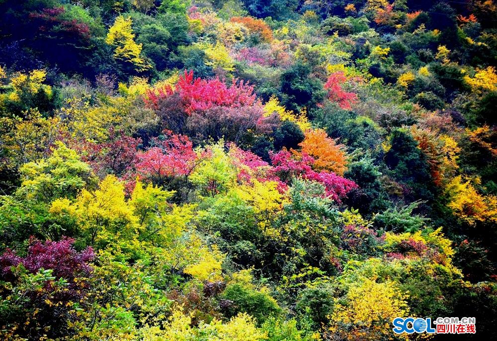 Autumn scenery in China's Sichuan Province