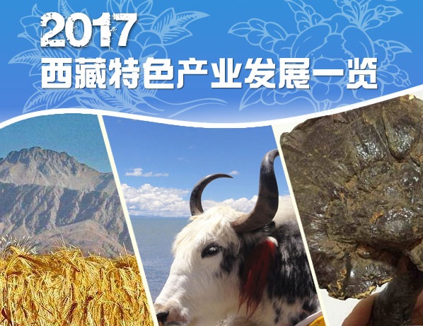  图解|2017西藏特色产业发展一览