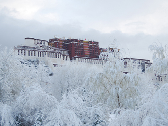 雪中的布达拉宫