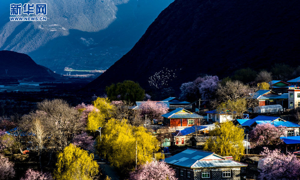 Tibet set to receive 25 million tourists this year