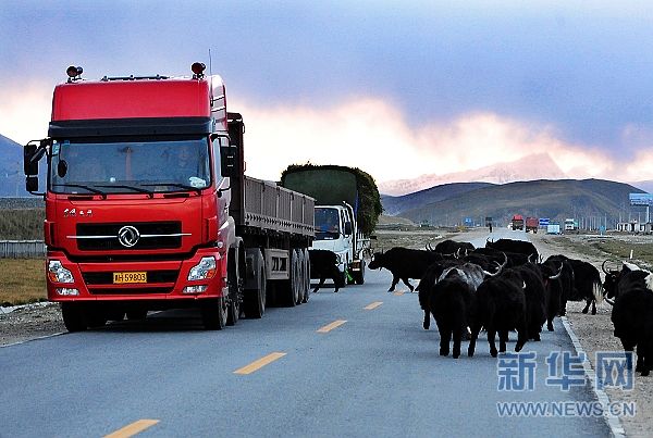 Tibetan farmer drives a better truck toward a better life