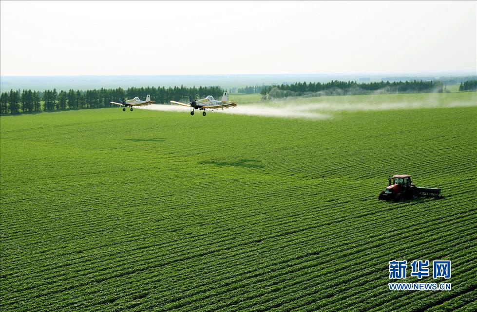 China Focus: China to deepen reform in agricultural sector