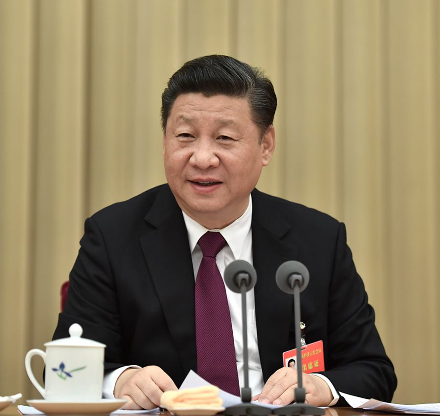 Xi stresses stability, progress in China's economic work