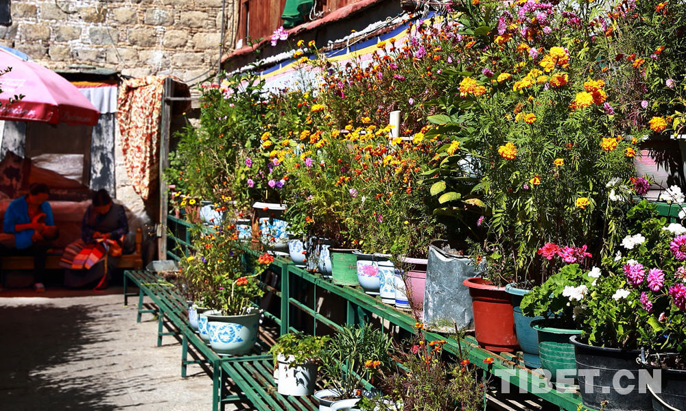 Lhasa tops China's happiest cities in 2016: CCTV poll