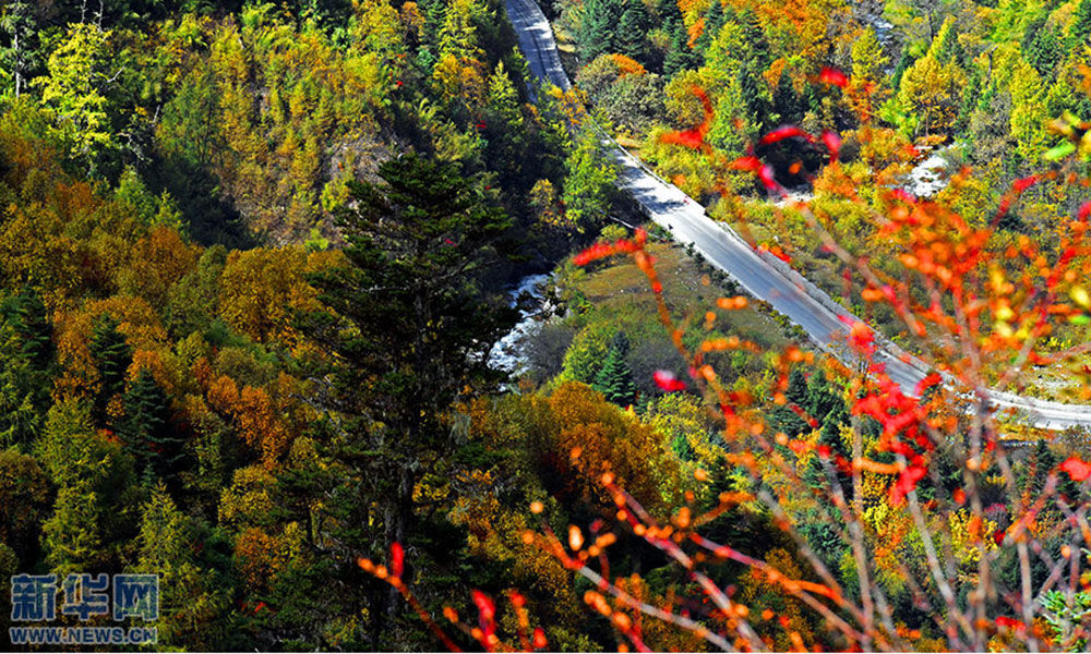  Four seasons in Tibet