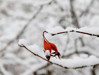 西藏山南：阳春三月的冰雪盛宴