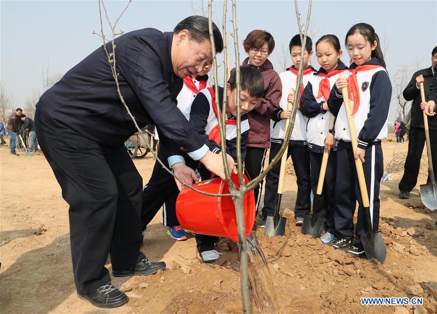 Xi attends tree planting activity, calls for understanding, protecting nature