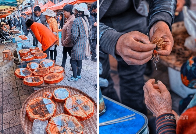 所謂“神草” 你真的了解它嗎？