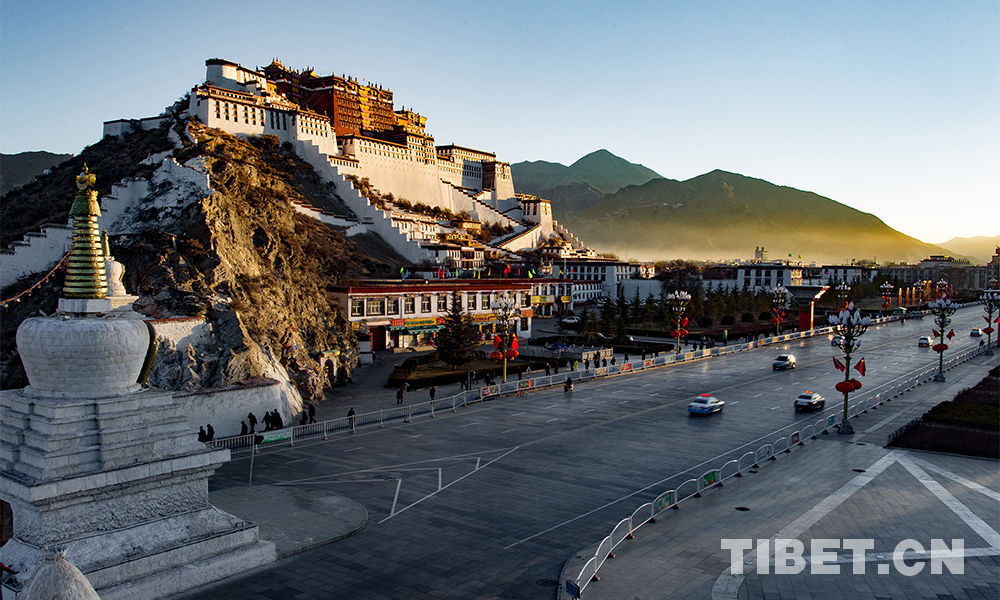 Chinese delegation calls on Japan to properly handle Tibet-related issues