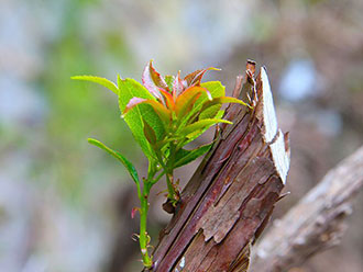 山南玉麦风光