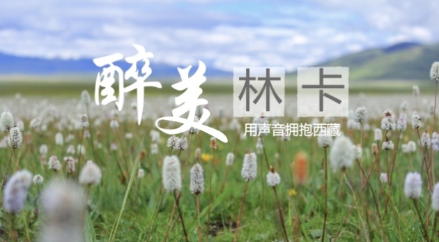 晨聽｜綠光林卡，惟愿閑事過一夏