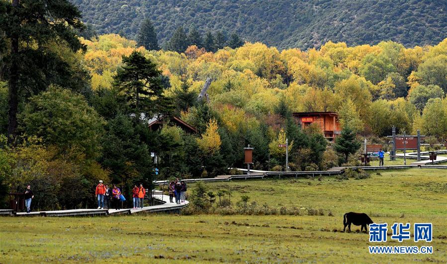 China invests billions of dollars supporting grassland ecological protection 