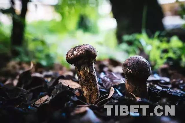 食·味丨所有吃過的美食，都是旅行的意義