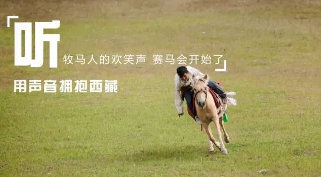 晨聽｜沸騰的草原，與駿馬為伴