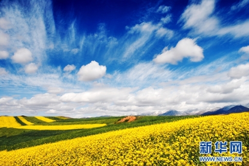 Tibetan expert wins "Master of Traditional Chinese Medicine" title