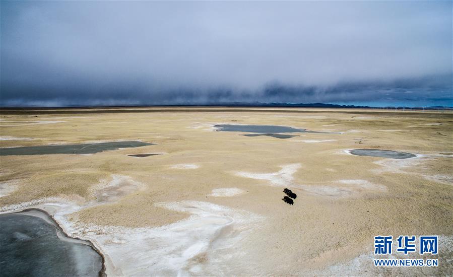 Tibet receives high-profile environmental inspection