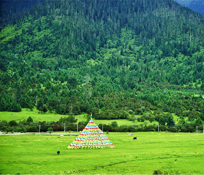 Stylish Tibetans add modern elements to traditional weddings