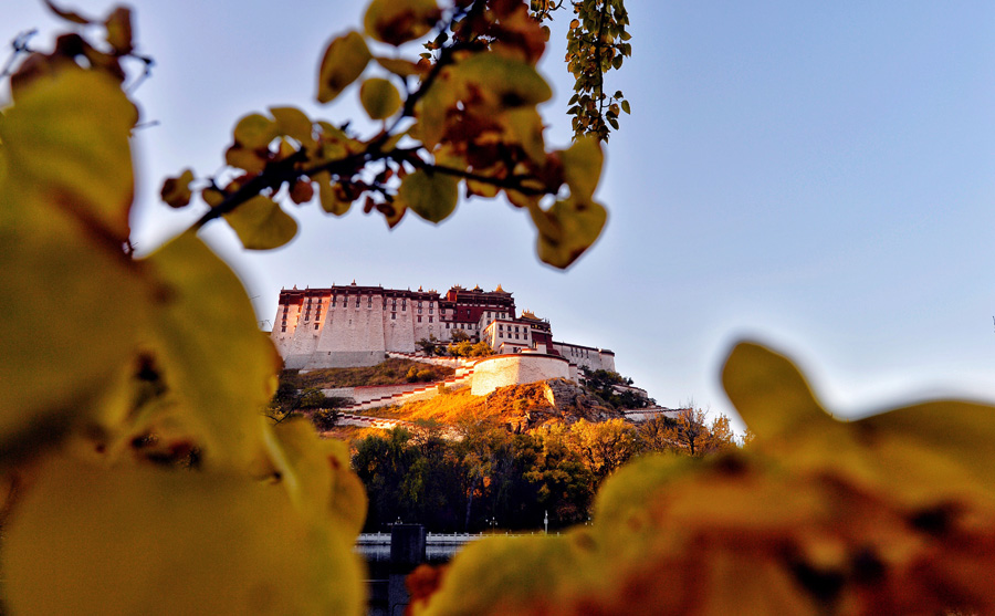 28 ticket scalpers caught outside Potala Palace