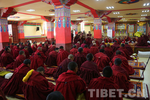 扶贫先扶智!内地西藏班累计培养中专以上人才