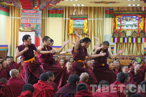 中国藏语系高级佛学院学员赴西藏辩经实习