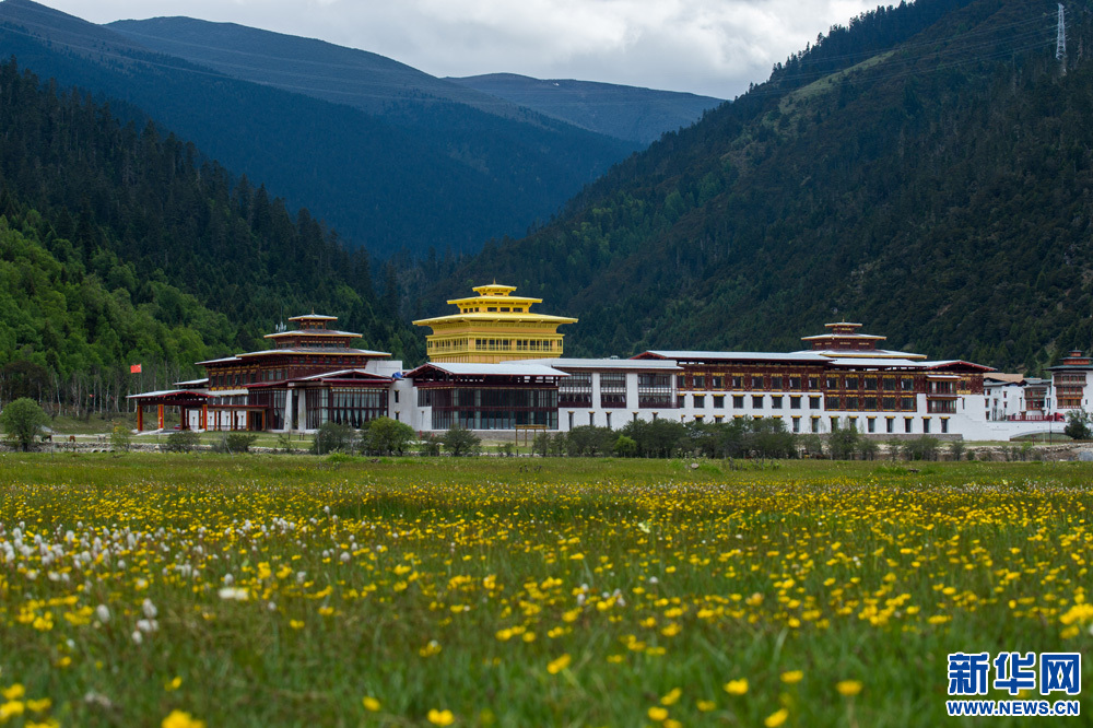 Booming tourism aids Tibet's green growth 