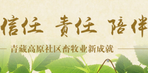 青藏高原社區(qū)畜牧業(yè)新成就