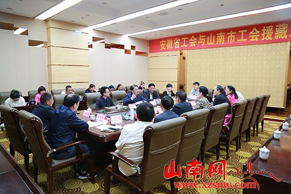 安徽省总工会对口支援山南市座谈会召开