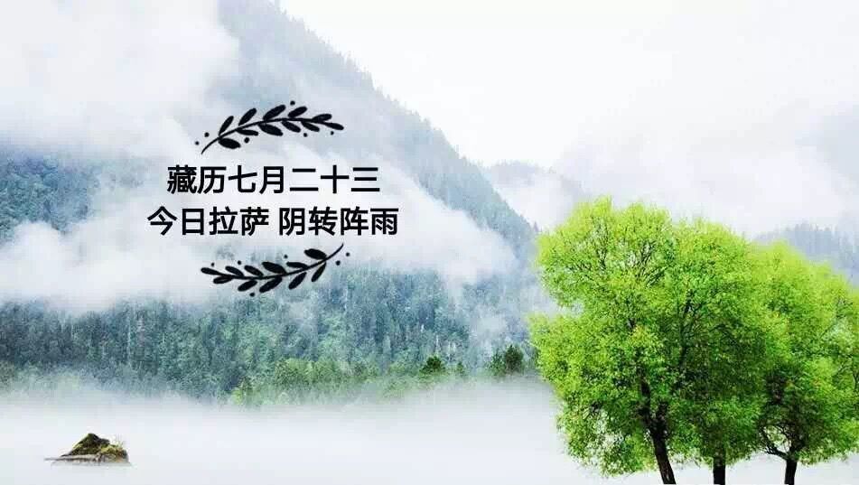 阿壩州糧食系統(tǒng)腐敗第一案 | 藏聞早餐9.13