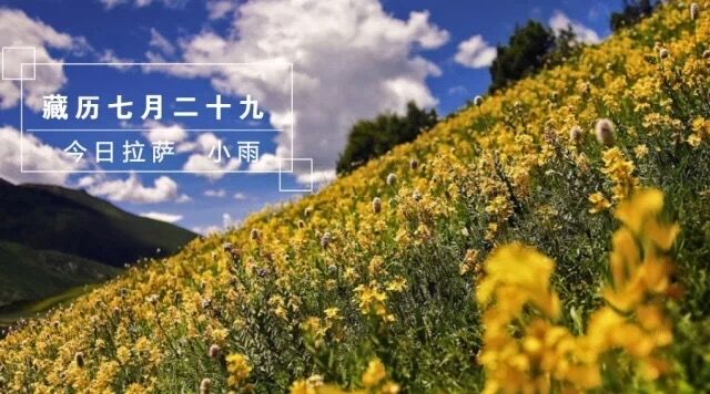 雀兒山隧道預(yù)計國慶前通車 | 藏聞早餐9.19