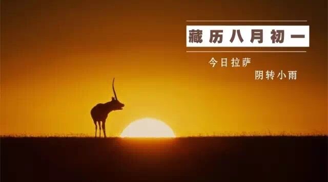 黃河源再現(xiàn)“千湖奇觀” | 藏聞早餐9.21