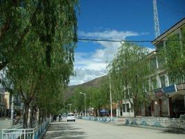 十九大代表尼玛石曲:筑起西藏华西梦_媒体观