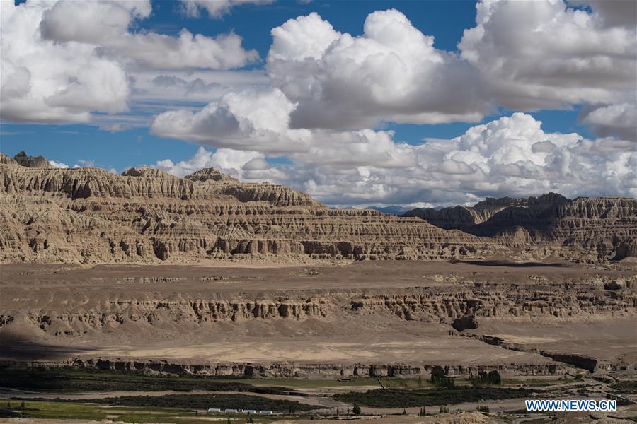 Magnificent scenery of Zanda soil forest landscape in Tibet