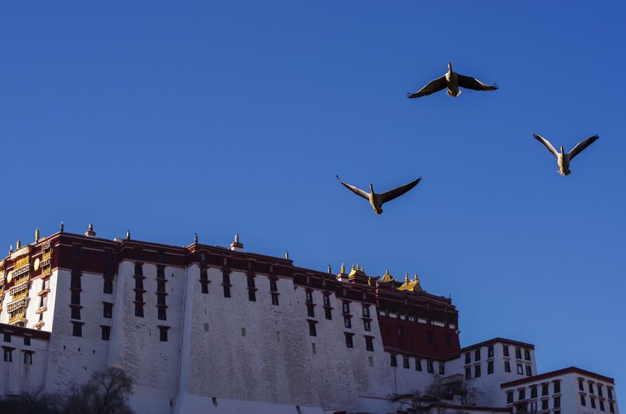 Winter scenes in Lhasa, Tibet