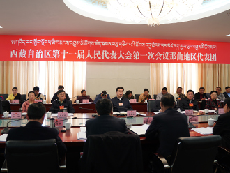 西藏十一届人大一次会议各代表团分组审议政府工作报告