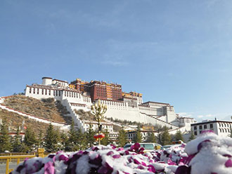西藏拉萨迎藏历新年首场雪 