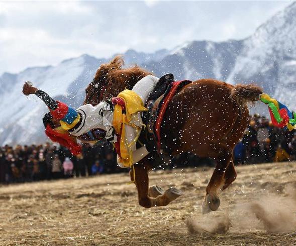 Equestrian performance in the countryside